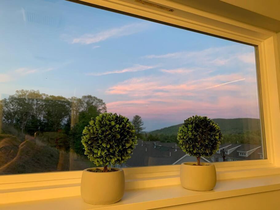Newly Built Townhome Close To The Asheville Sites Candler Exterior photo